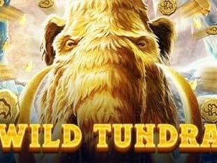 Wild Tundra game icon